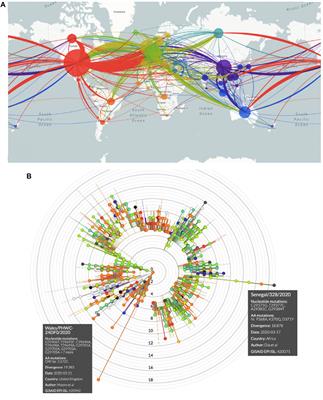 Genetic Drift Versus Climate Region Spreading Dynamics of COVID-19